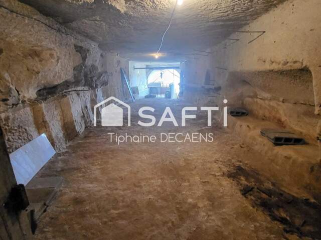 Maison ancienne avec 2 depandances + etage independant, 2 tres grande cave dont 1 de plus de 75 m de long environ 550m2 — photo du bien