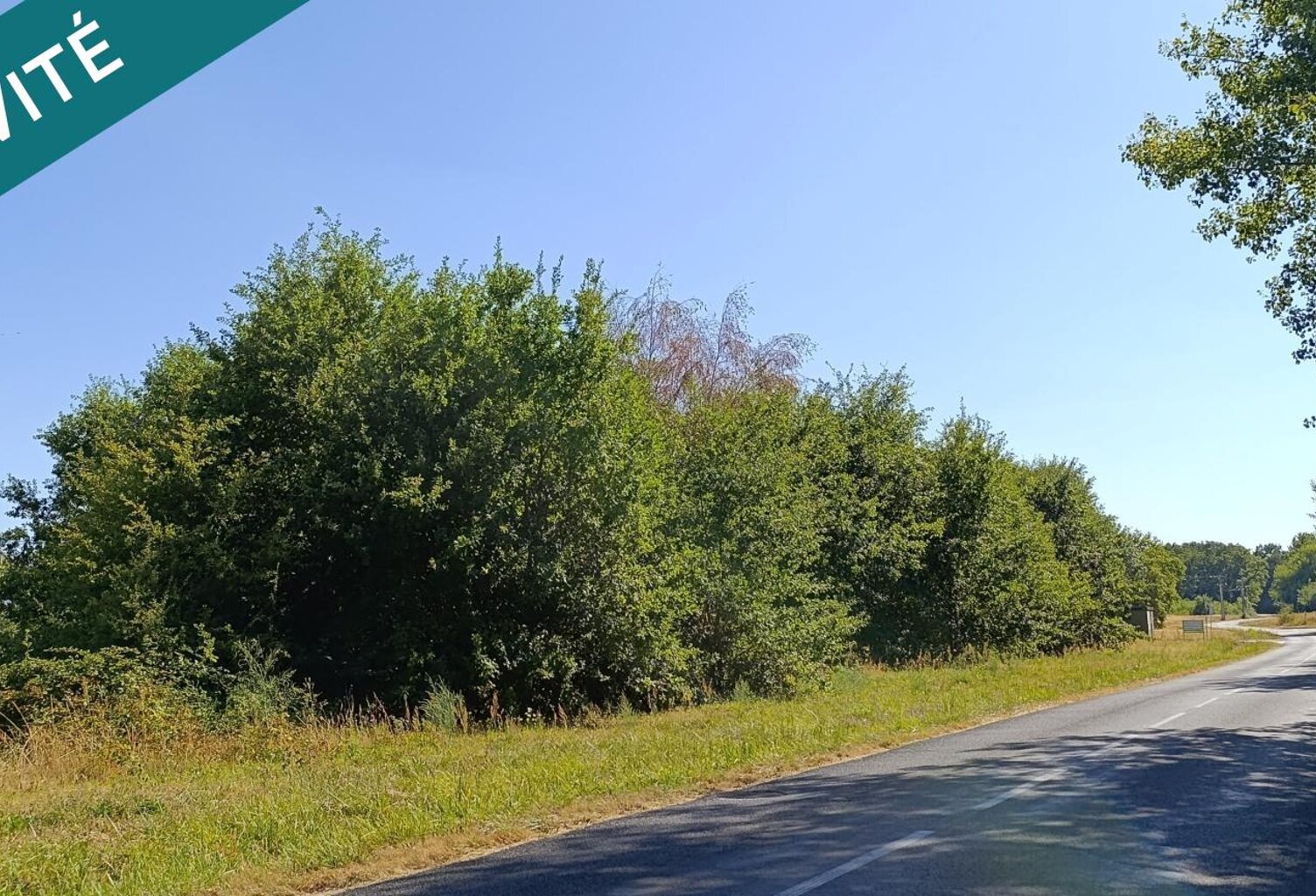 5392m² — photo 1