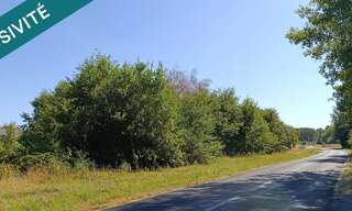 Terrain  5392 m² à vendre à Savigny-en-Véron (37420)