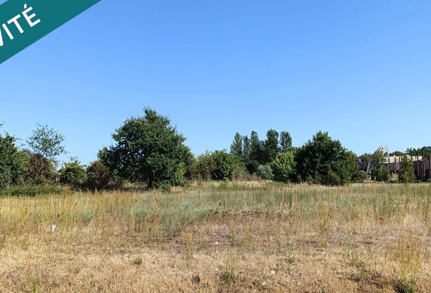 3930m² — photo 1
