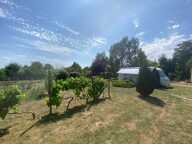 Terrain de 8446 m² avec abris de jardin — photo 4