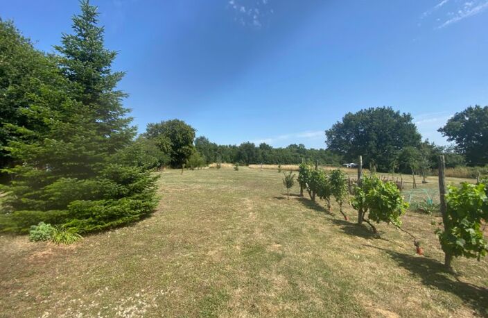 Terrain de 8446 m² avec abris de jardin — photo 5