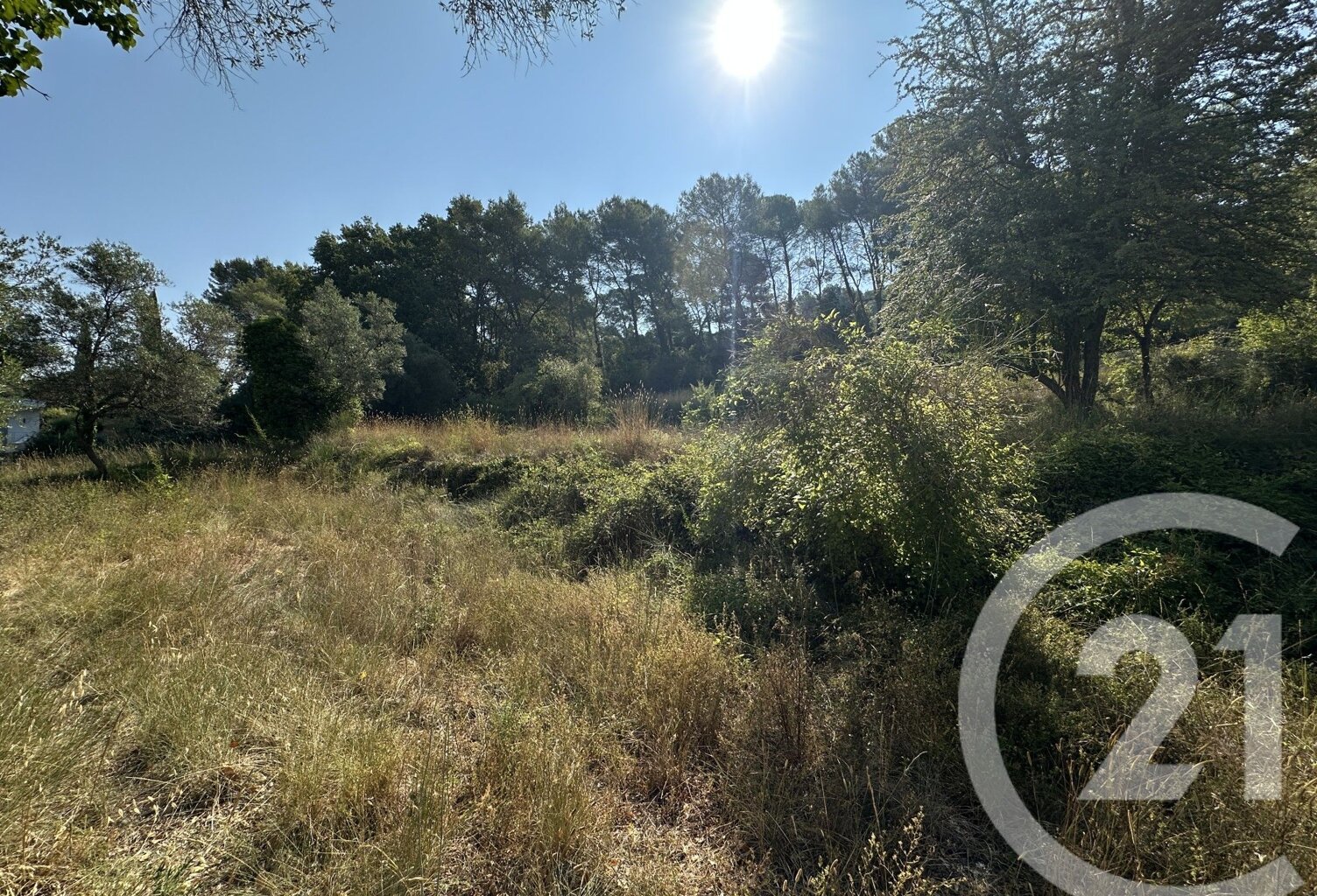 Vente terrain  2433 m² Mougins (06250) — photo 1