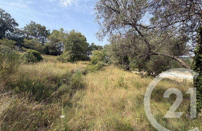 Vente terrain  2433 m² Mougins (06250) — photo 3