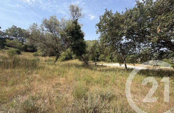 Vente terrain  2433 m² Mougins (06250) — photo 4