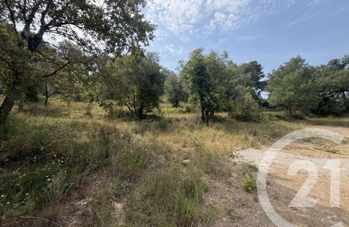 Vente terrain  2433 m² Mougins (06250) — photo 5