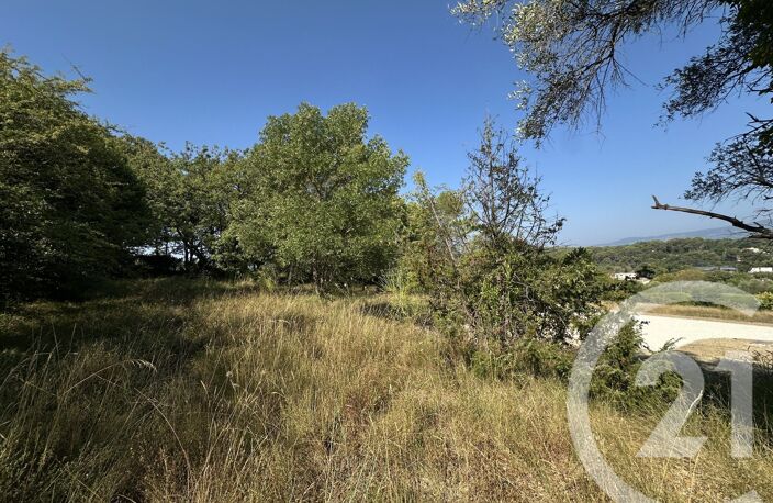 Vente terrain  2250 m² Mougins (06250) — photo 2