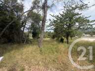 Terrain à construire  2250 m²  — photo 4