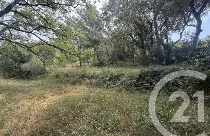 Vente terrain  2250 m² Mougins (06250) — photo 5