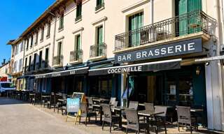 Commerce 19 Pièces 329 m² à vendre à Cazaubon (32150)