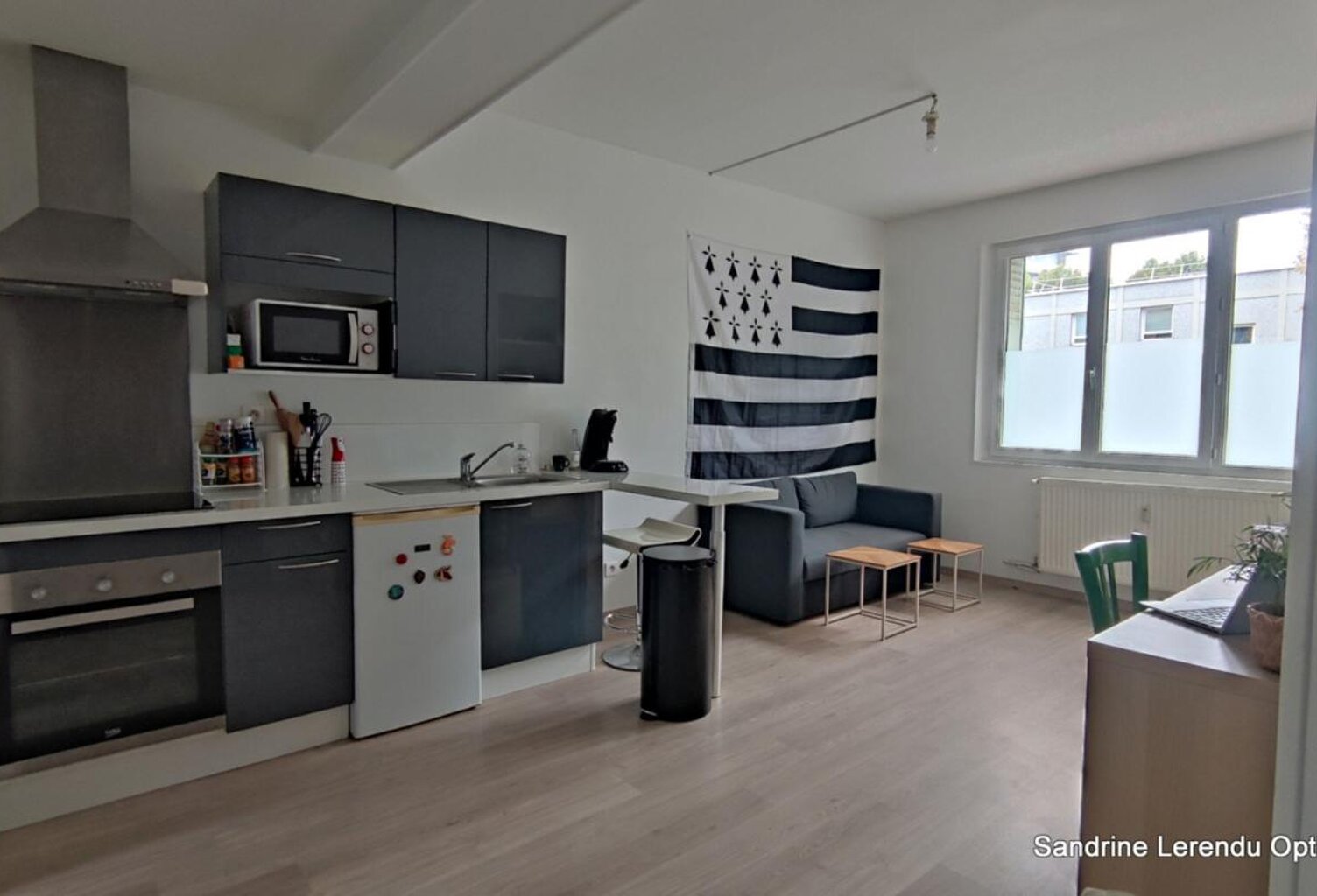 APPARTEMENT RÉNOVÉ VENDU LOUÉ – PARKING ET CAVE ROUEN RIVE GAUCHE — photo 1