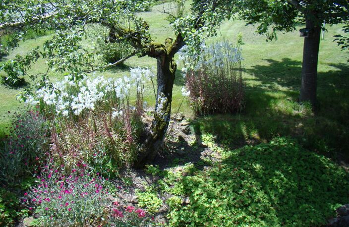 Propriété de caractère à vendre 6 pièces MAZILLE (71) dans le clunisois — photo 3