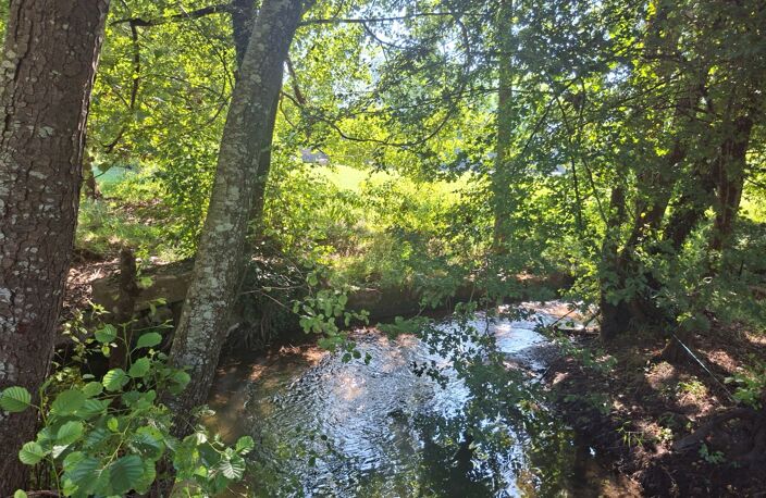 Domaine golfique en Périgord (24) — photo 4