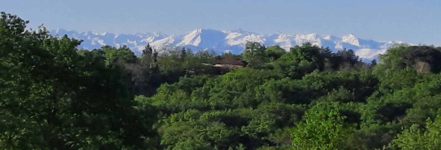 Photo N° 2