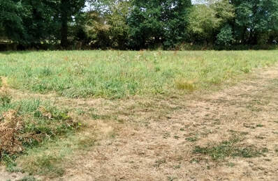 Rare : Terrain constructible de 1358 m² dans un cadre verdoyant - CHATEAUNEUF DU FAOU (29) — photo du bien