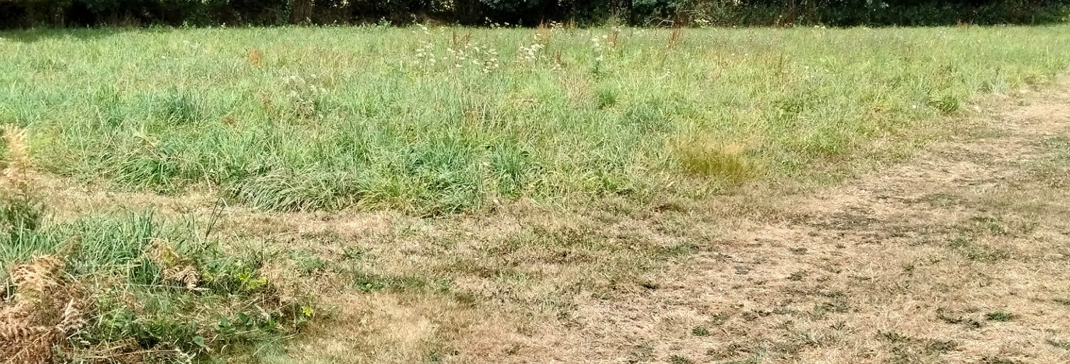 Terrain  1358 m² à vendre à Châteauneuf-du-Faou (29520)