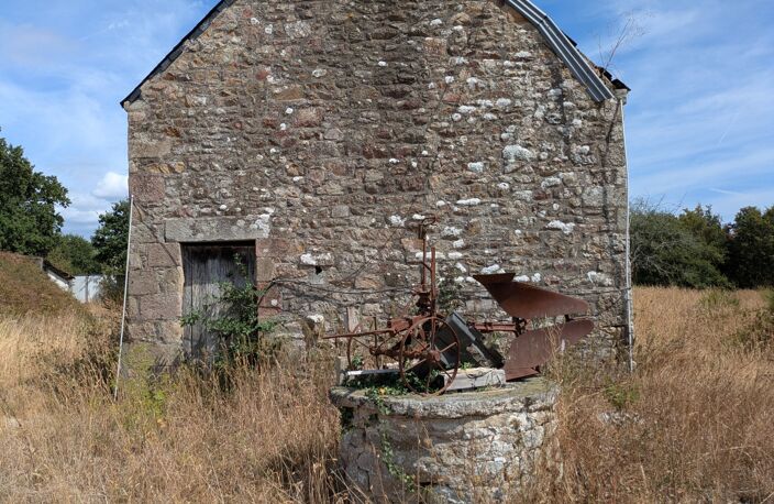 NOSTANG PROPRIÉTÉ COMPOSÉE D'UNE MAISON EN PIERRE À RÉNOVER AVEC TROIS DÉPENDANCE UN PUITS ET 21 HECTARES ENVIRON — photo 5