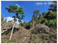 Terrain Vue Mer Grosses Roches de 1 041 m2 — photo 4