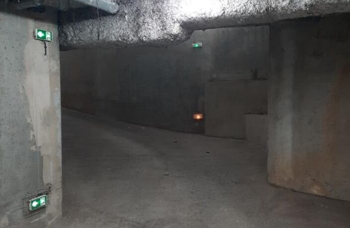 CASE DE PARKING NON PROTE LYON 03 — photo 3