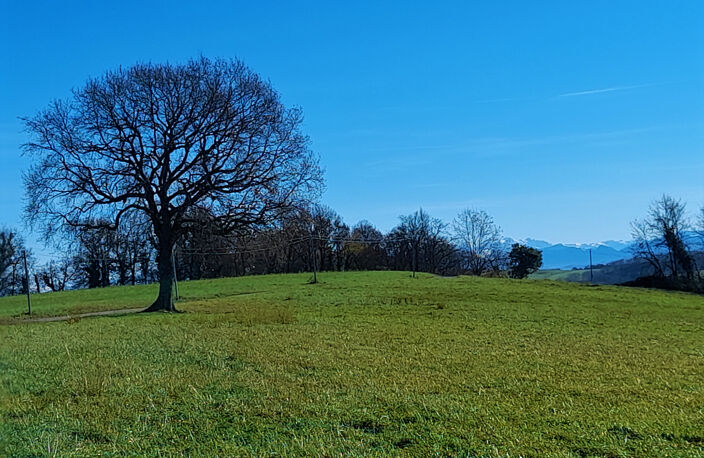 terrain constructible  3 HA vue montagnes — photo 3