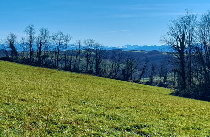 terrain constructible  3 HA vue montagnes — photo 4