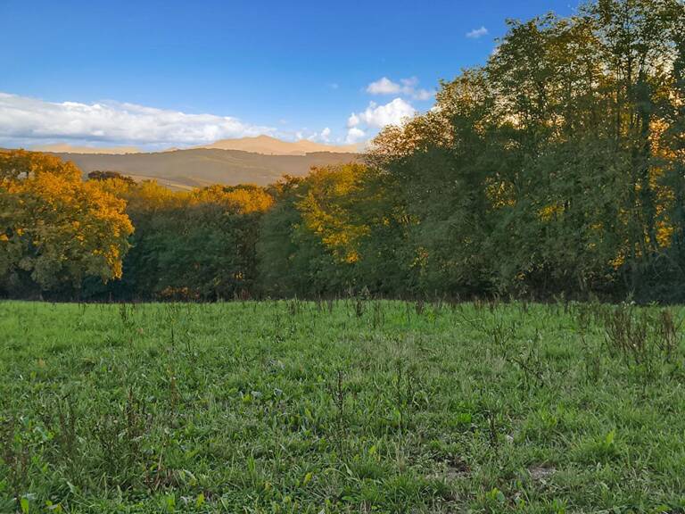 terrain constructible  3 HA vue montagnes — photo 1