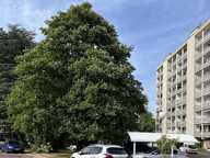 Appartement Bourg En Bresse 5 pièce(s) 79.14 m2 — photo 2