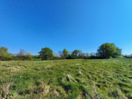 Offre Exceptionnelle sur Terrain viabilisé à Apremont — photo 2
