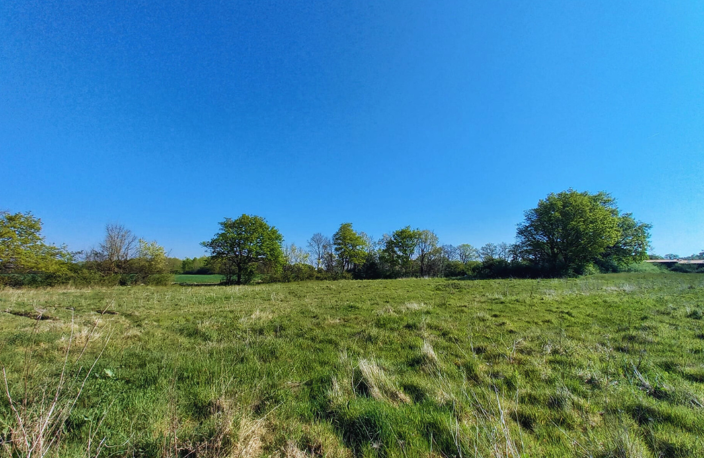 Offre Exceptionnelle sur Terrain viabilisé à Apremont — photo 2