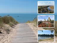 Offre Exceptionnelle sur Terrain viabilisé à Apremont — photo 3