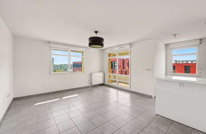 T3 RAMONVILLE SAINT AGNE — photo 4