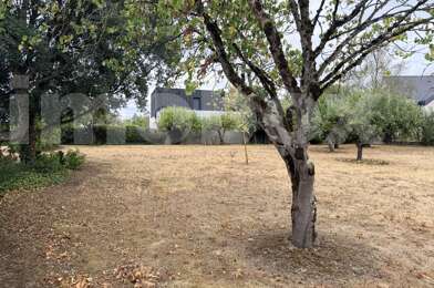 Terrain  157990 €
