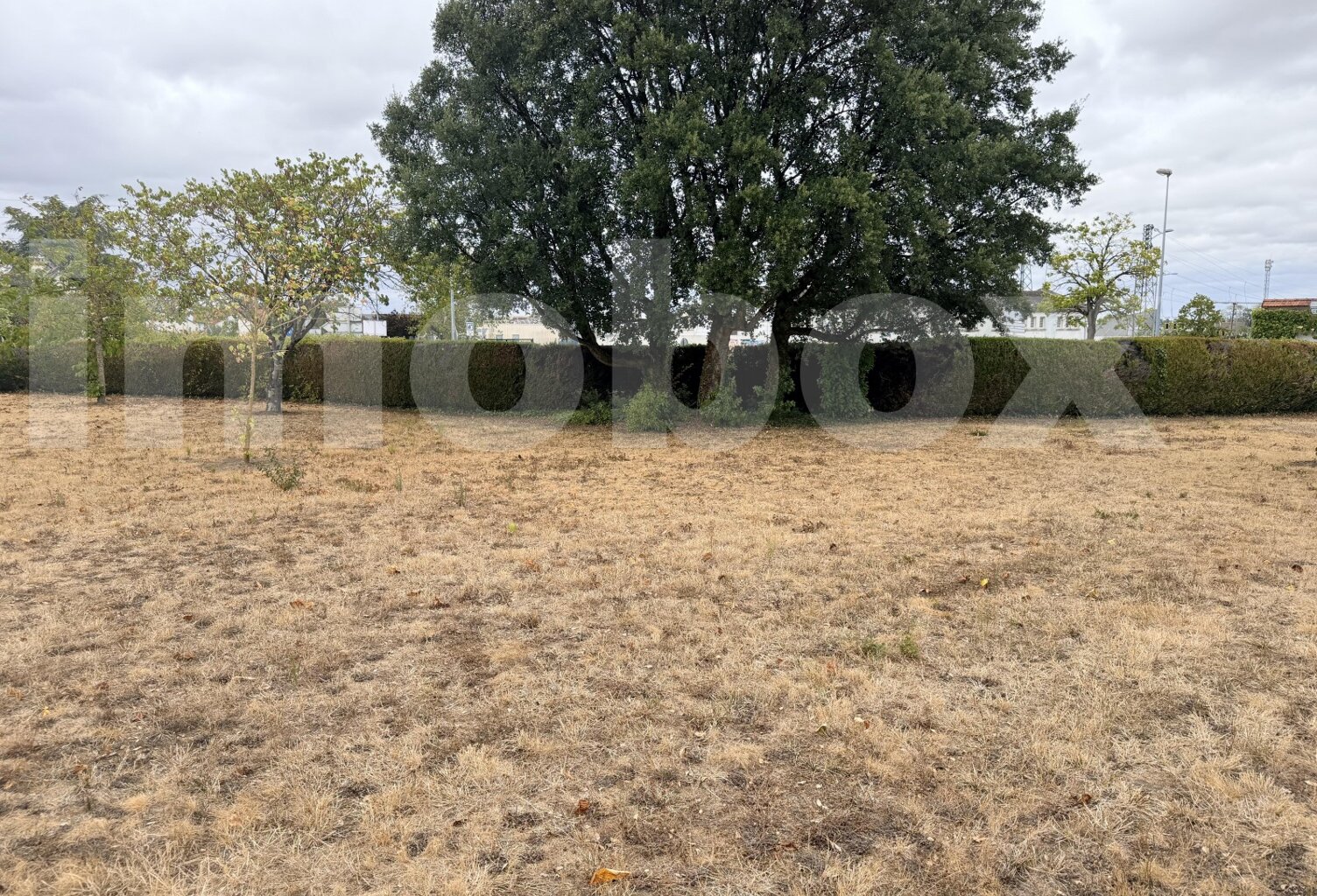terrain — photo 1
