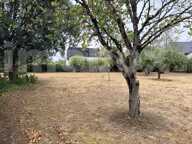 terrain — photo 2