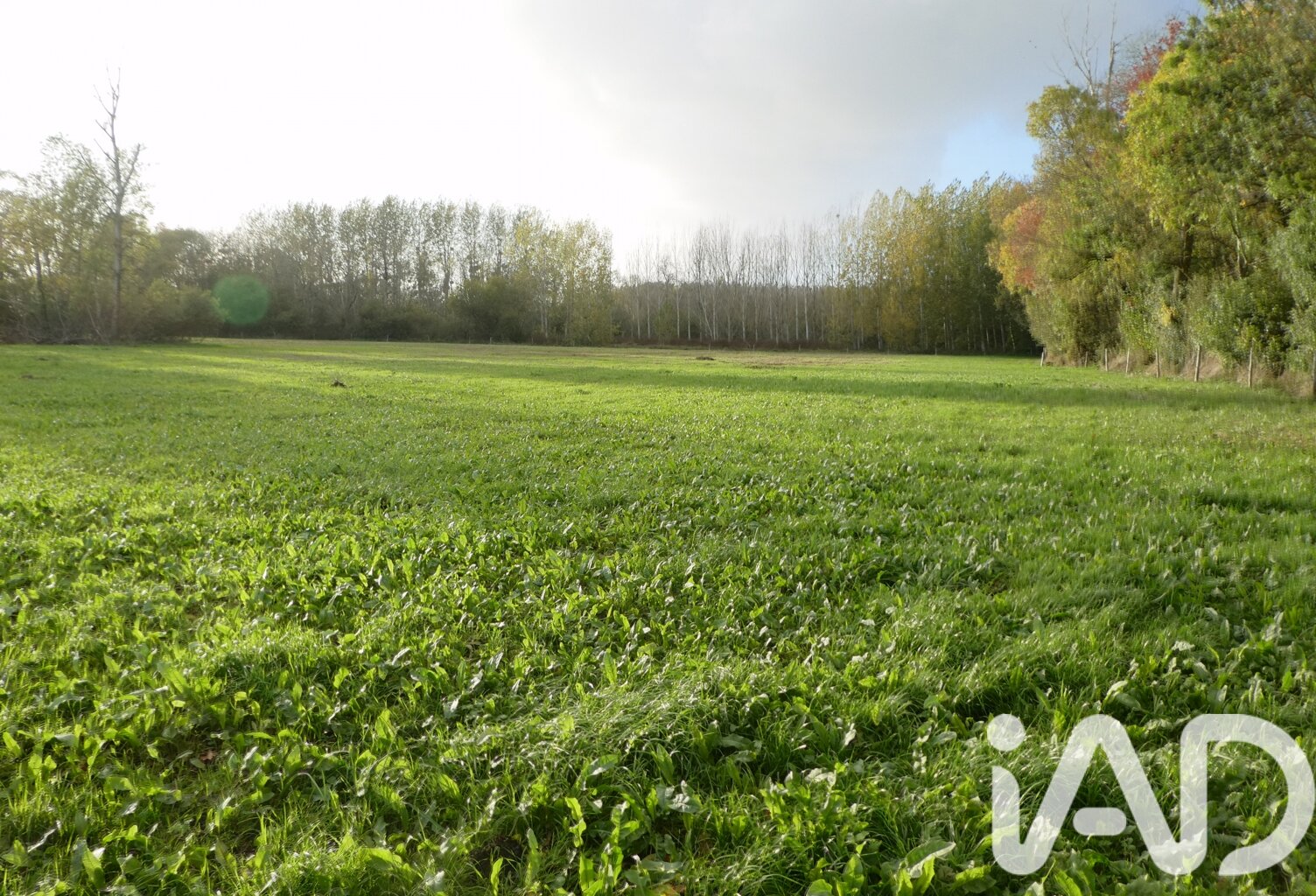 Vente Terrain agricole 19 641 m&sup2; — photo 1