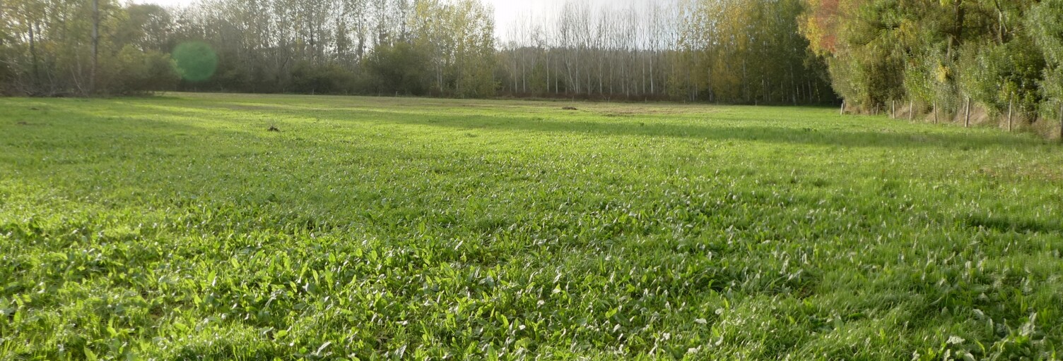 Terrain  19641 m² à vendre à Bréville (16370)