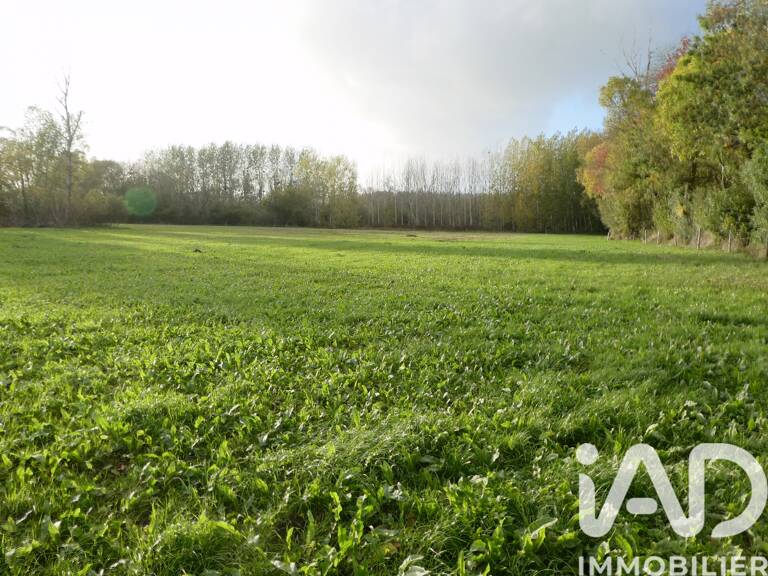 Vente Terrain agricole 19 641 m&sup2; — photo 1