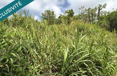 LE FRANCOIS : TERRAIN DE 1083 M² Ecrin de verdure — photo du bien