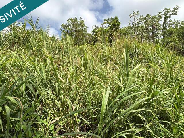 LE FRANCOIS : TERRAIN DE 1083 M² Ecrin de verdure — photo du bien