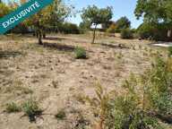 Verger clôturé en bordure du village. — photo 4