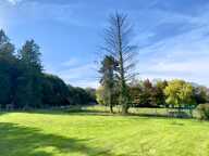 En campagne vue sur la foret — photo 4