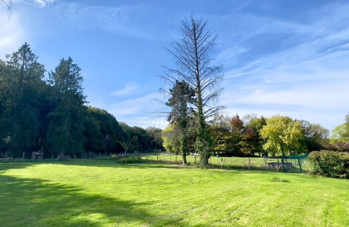 En campagne vue sur la foret — photo 4