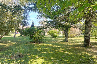 Terrain  98000 €