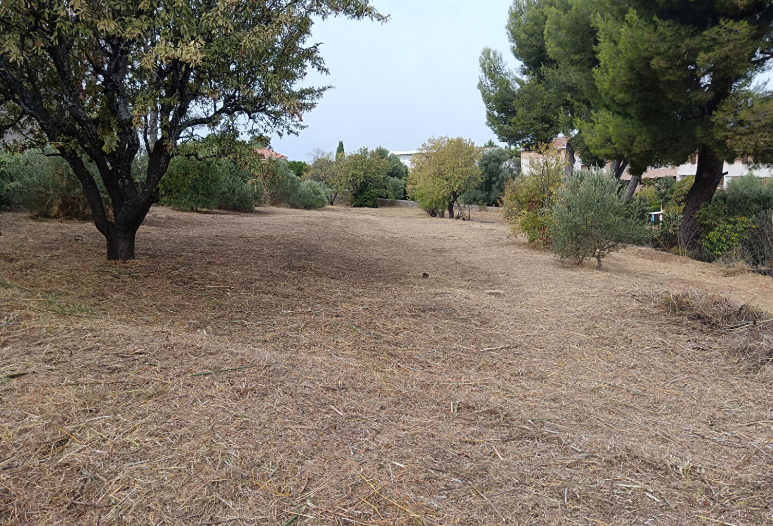 Allauch TERRAIN  2 constructions — photo 1