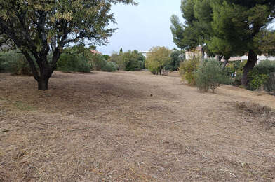 Terrain  520000 €