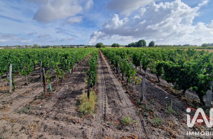 Vente Terrain agricole 65 000 m&sup2; — photo 2