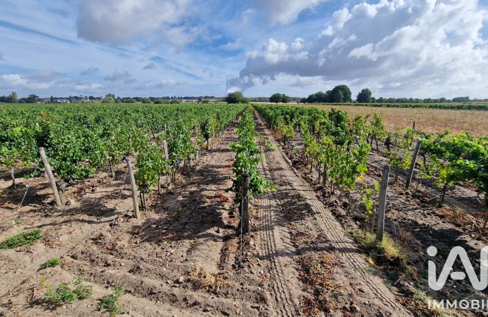 Vente Terrain agricole 65 000 m&sup2; — photo 3