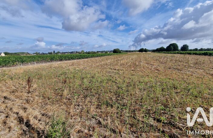 Vente Terrain agricole 65 000 m&sup2; — photo 4