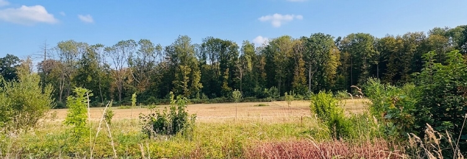 Terrain  1000 m² à vendre à Le Tremblay-sur-Mauldre (78490)