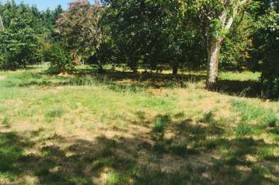 Terrain  65000 €